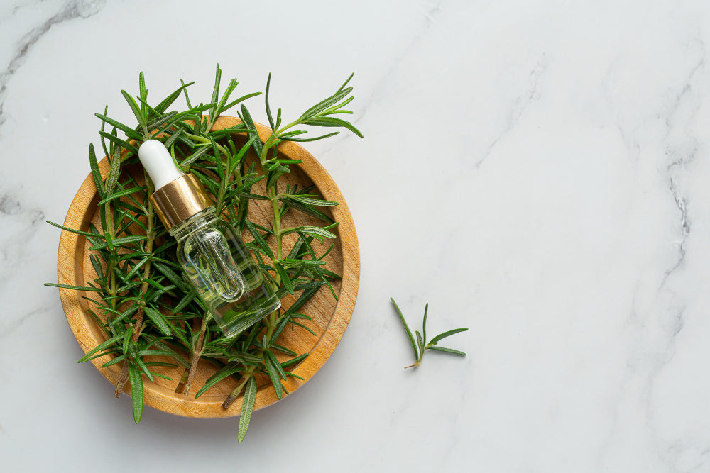 The Incredible Benefits of Rosemary Oil for Hair and Skin